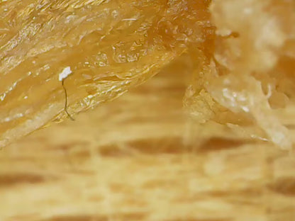 TAHE T98 Concentrado 6x10 ml + Champú Peptide